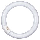 Crompton Fluorescent T9 Circular 32W 4-Pin 830 Warm White CIR32SPWW