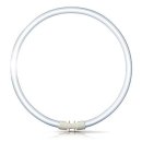 Osram Fluorescent T5 Circular 22W 4-Pin 865 Cool Daylight