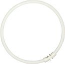 Sylvania Fluorescent T5 Circular 40W 4-Pin 830 Warm White