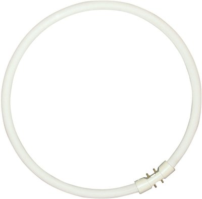 Bell Lighting Fluorescent T5 Circular 60W 4-Pin 840 Cool White 05469