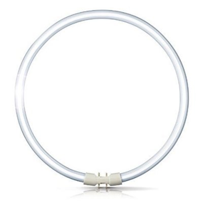 Bell Lighting Fluorescent T5 Circular 22W 4-Pin 840 Cool White 05460