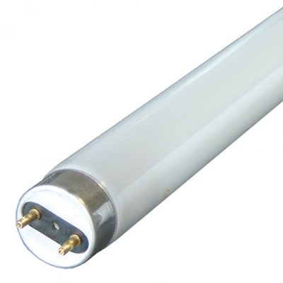 Sylvania 25w 33 Inch T8 4000k Cool White Triphosphor Fluorescent Tube 820mm 0000878